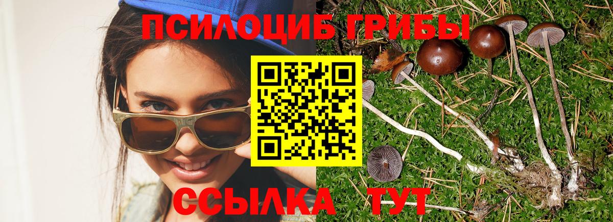 Псилоцибиновые грибы мицелий Когалым